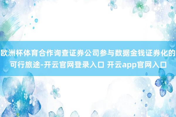 欧洲杯体育合作询查证券公司参与数据金钱证券化的可行旅途-开云官网登录入口 开云app官网入口